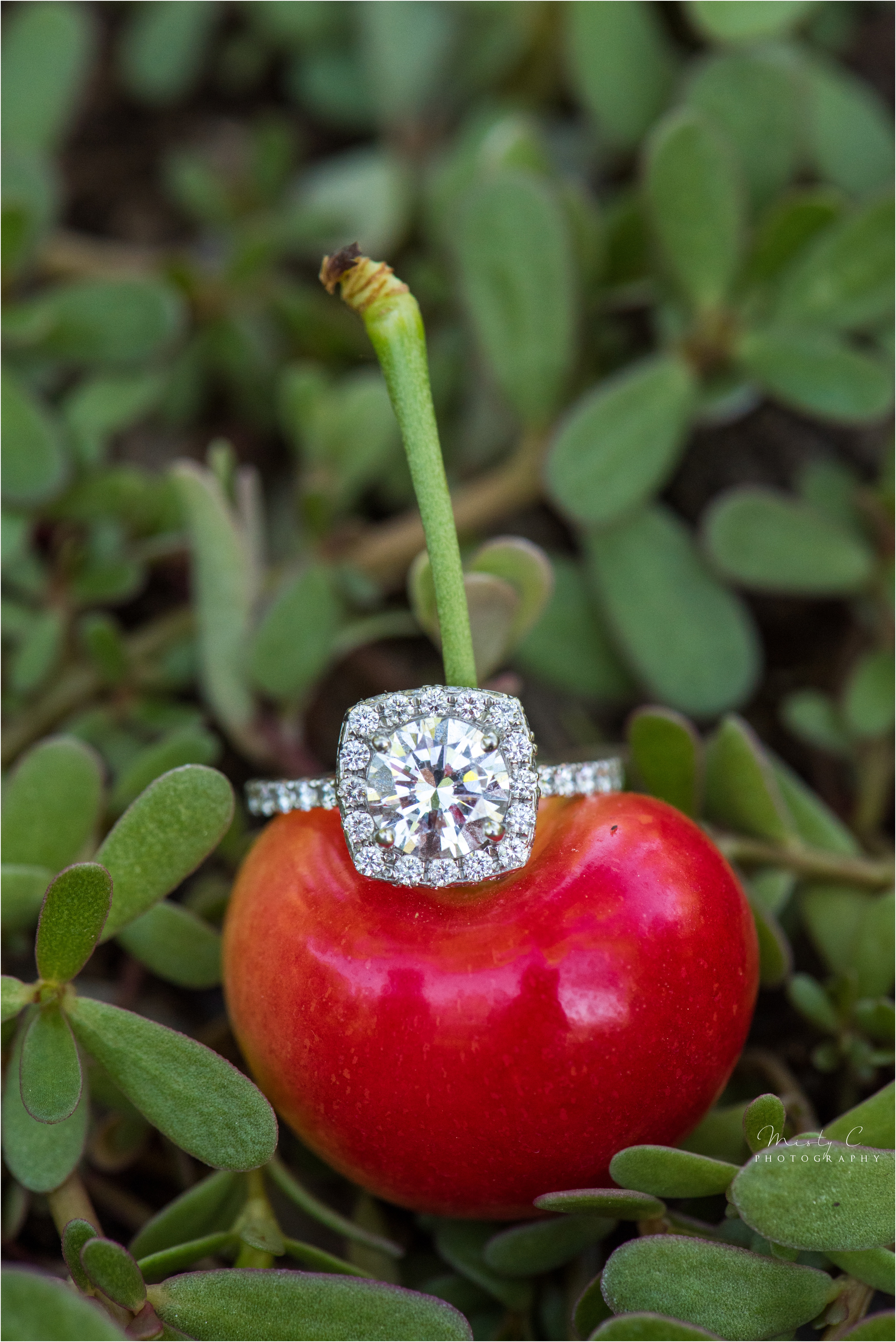Mike&Amy Wenatchee Engagement Session_0003 Wenatchee Engagement Session Wenatchee WA Couple wedding ring photo