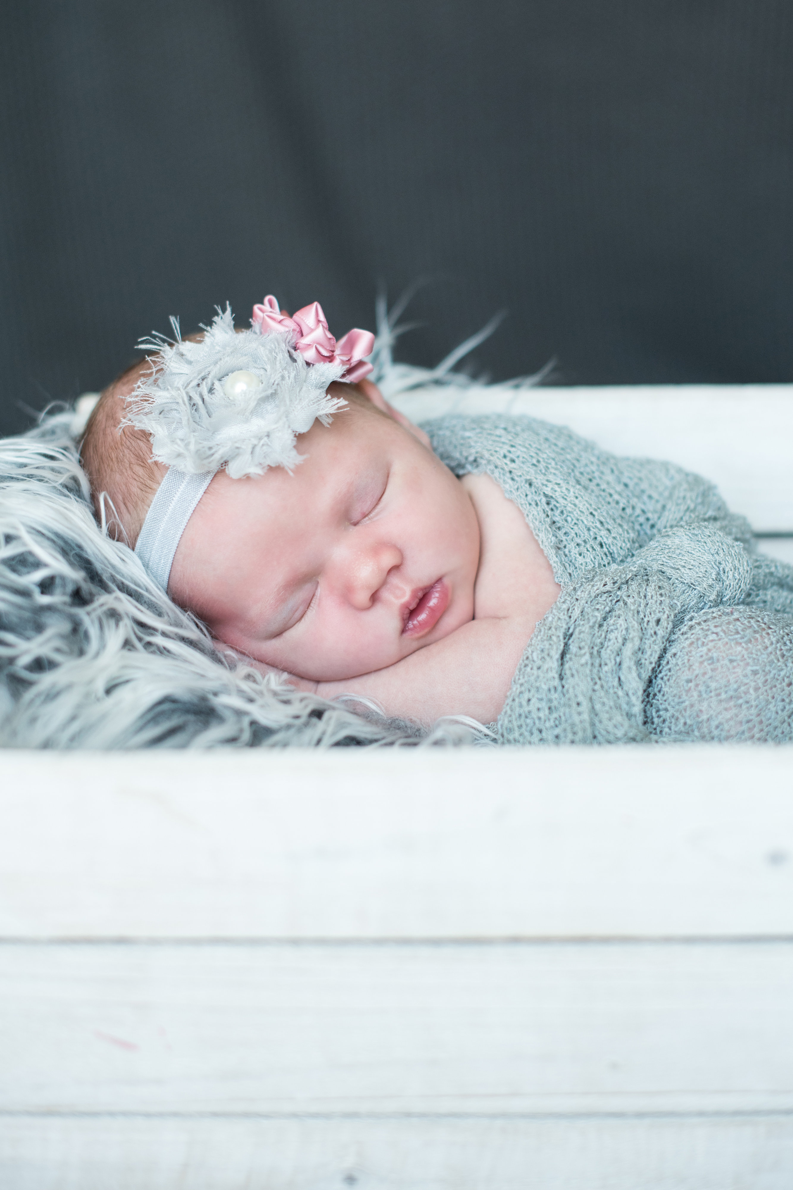 View More: http://mistycphotography.pass.us/evas-newborn-shoot