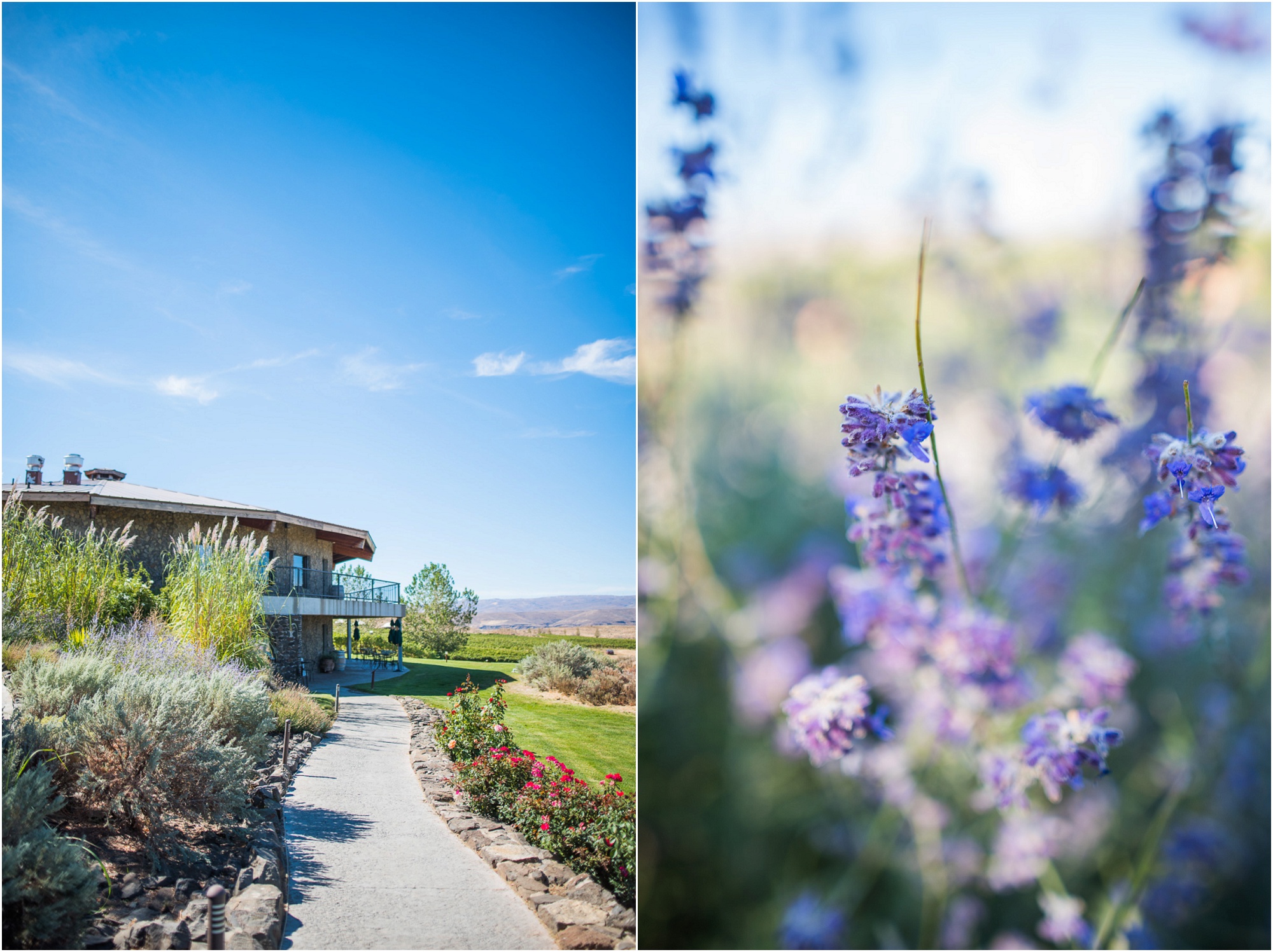 Cave B Winery Quincy Washington Wedding Venue