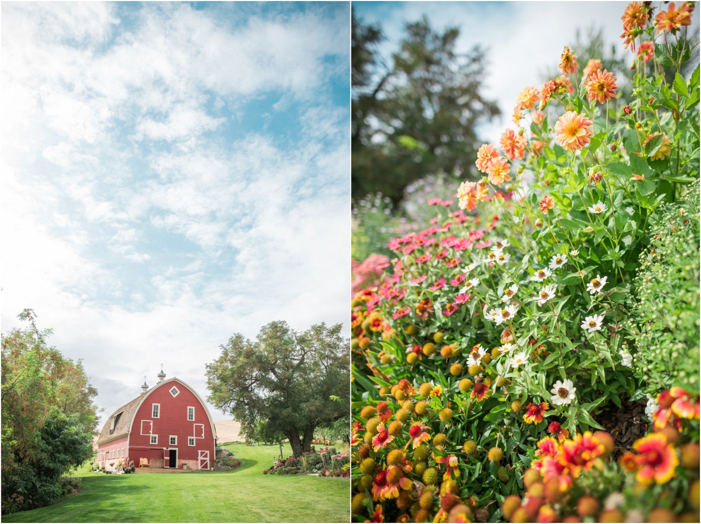 Winn Homestead barn and flowers photo