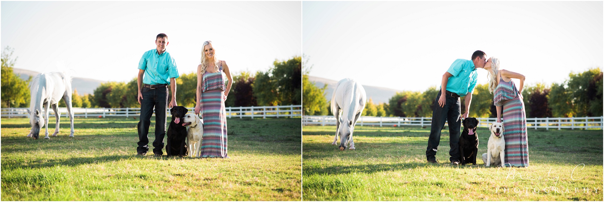 Country Engagement photos couple with horse and dogs photo