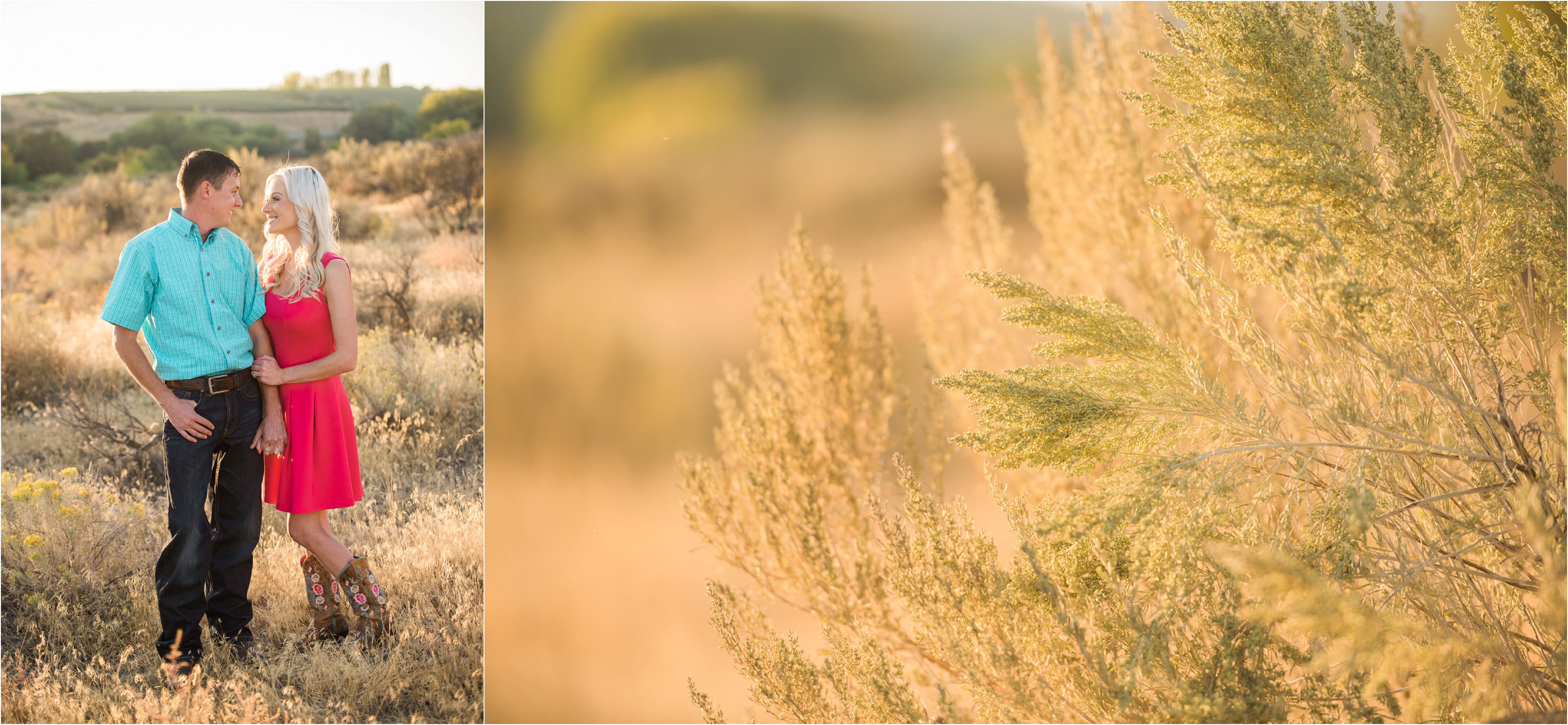 Country Engagement photos couple in sagebrush photo