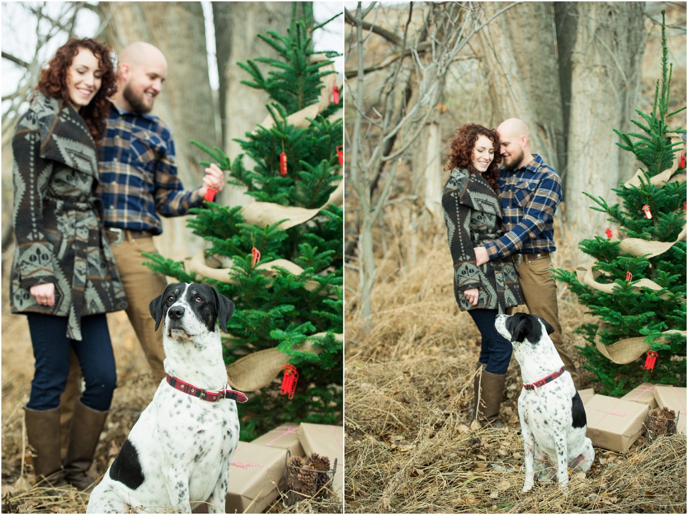 Kennewick Christmas Inspired Couple Shoot couple decorating a tree with their dog photo