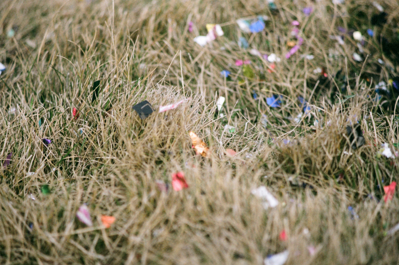 Film Photography Confetti in the grass 