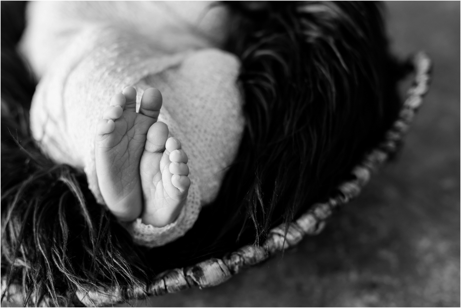 Janes Newborn Photography baby girl in basket