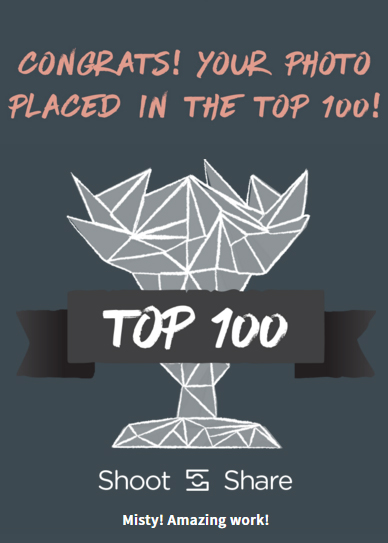 Shoot and Share Contest Results Top 100 email