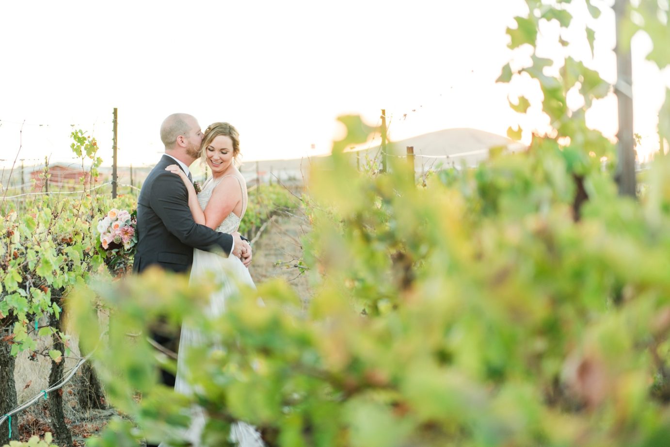 Tagaris Winery Wedding Bride and Groom in Vineyard sunset photo