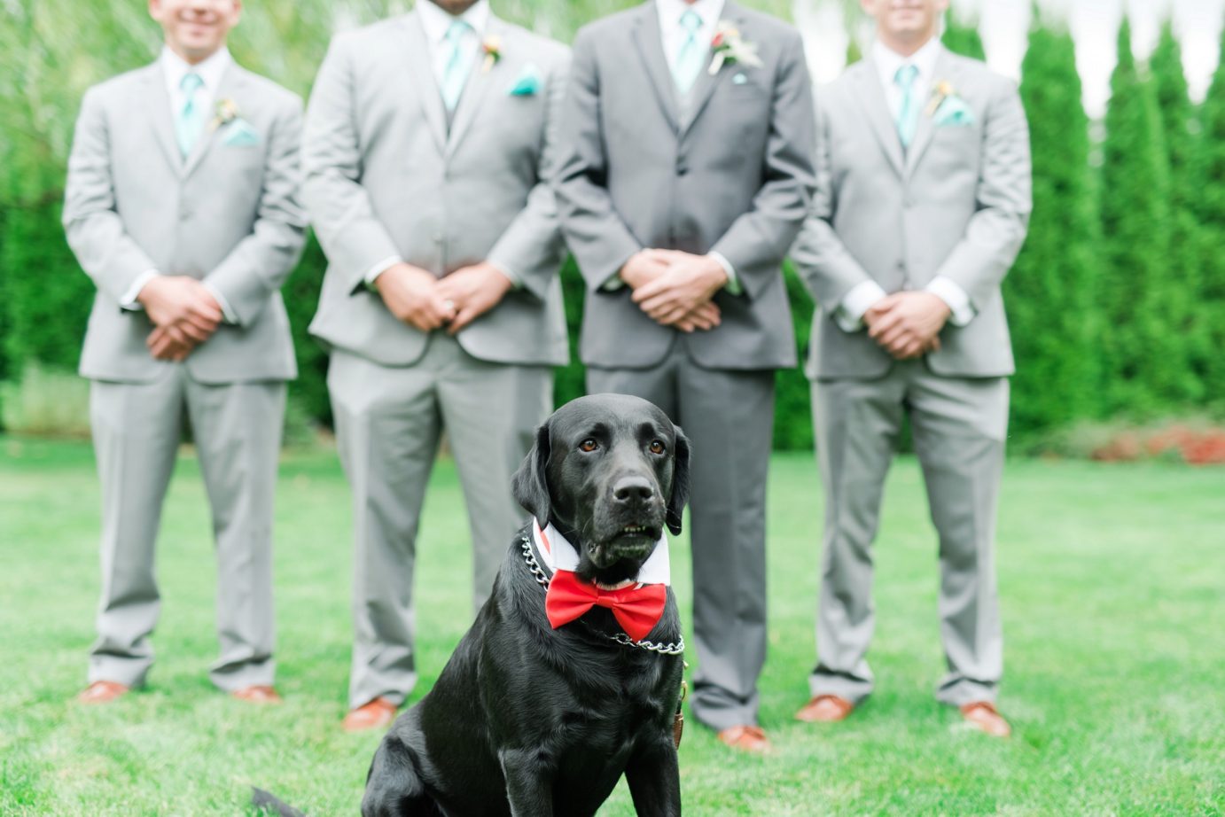 promise garden groom and groomsmen with dog photo