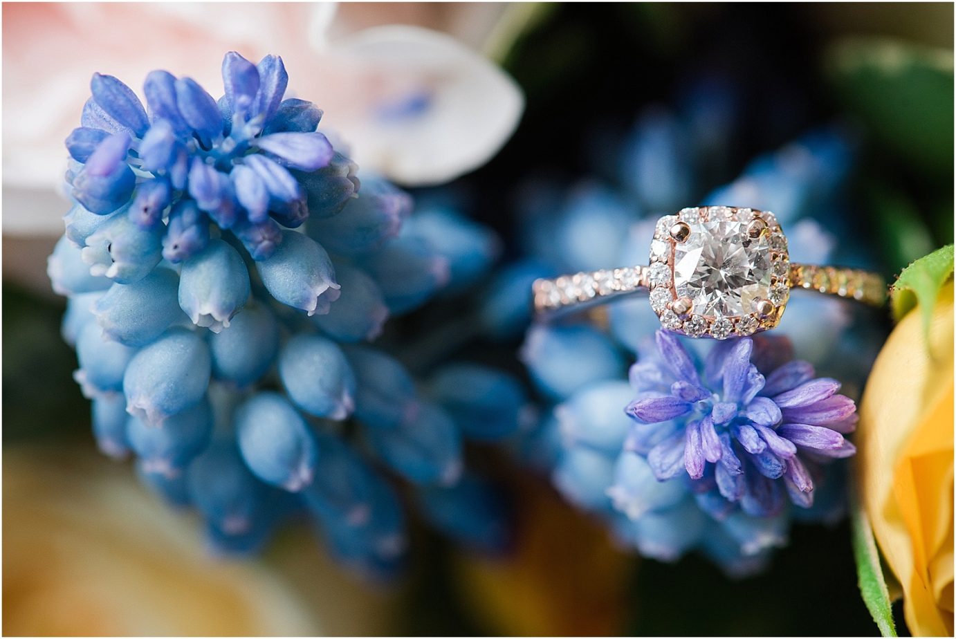Promise Garden Wedding Pasco Photographer Rose gold cushion cut wedding ring