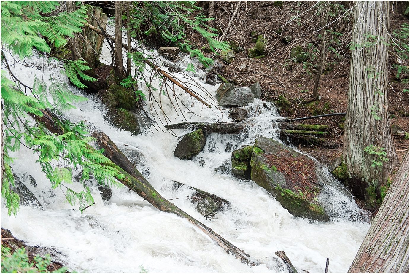 Silver Falls Wenatchee National Forest Raging Silver Creek