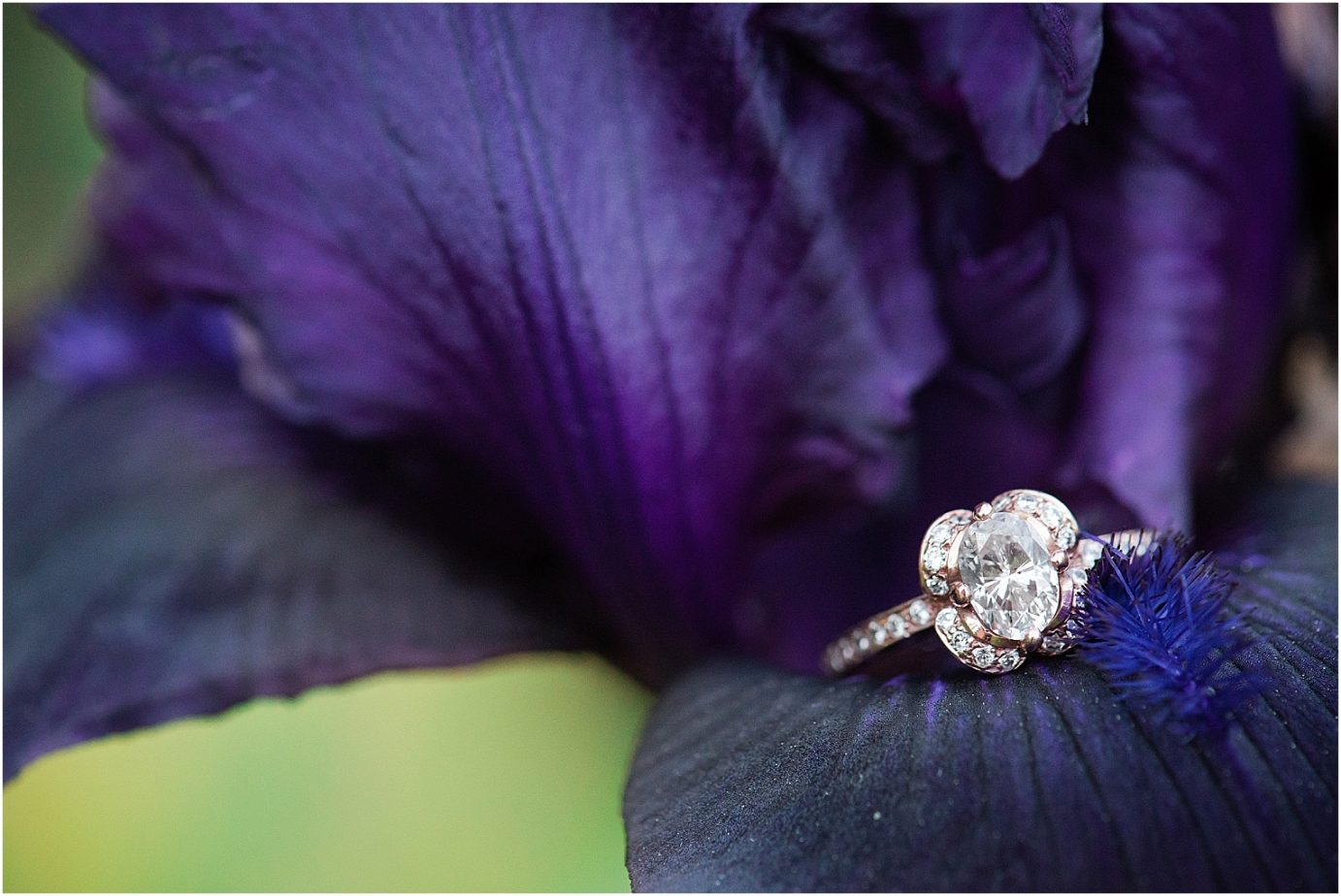Manito Park Engagement Session Spokane Photographer Bryan and Olivia custom rose gold wedding ring shot