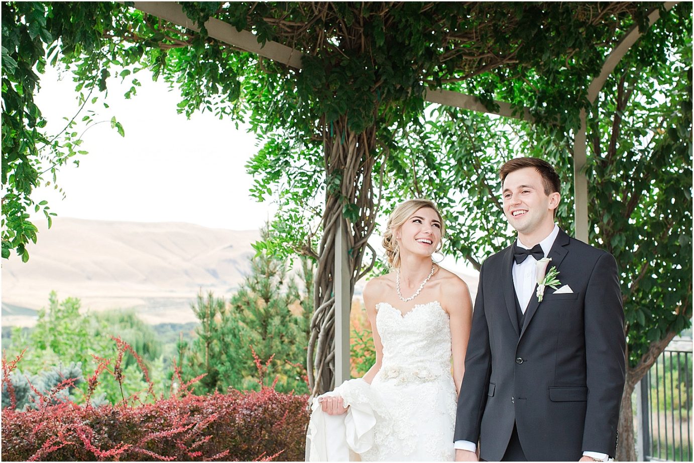 Terra Blanca Winery Wedding Benton City Photographer Armin and Kendall bride and groom in wisteria