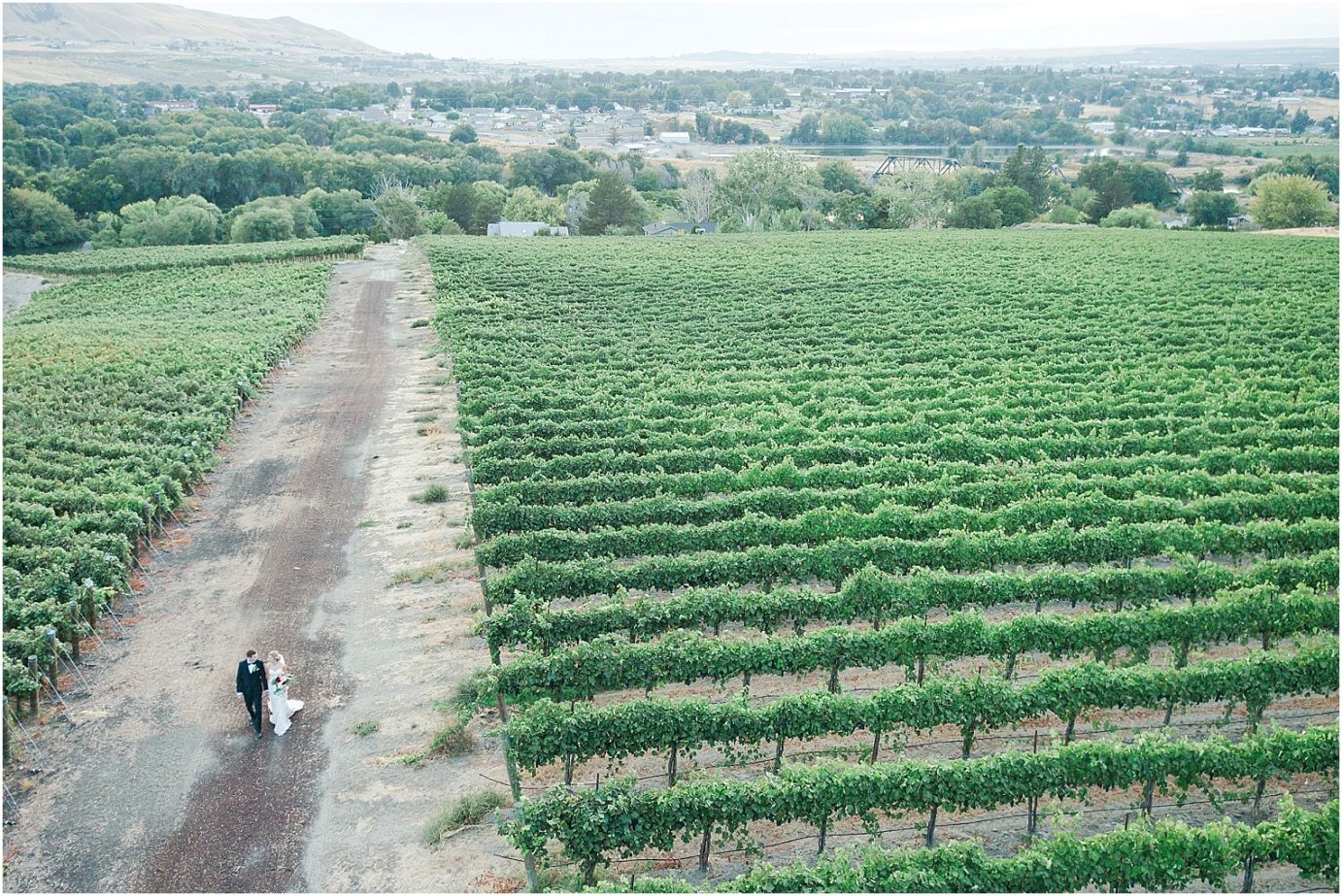 Terra Blanca Winery Wedding Benton City Photographer Armin and Kendall bride and groom sunset photo with drone