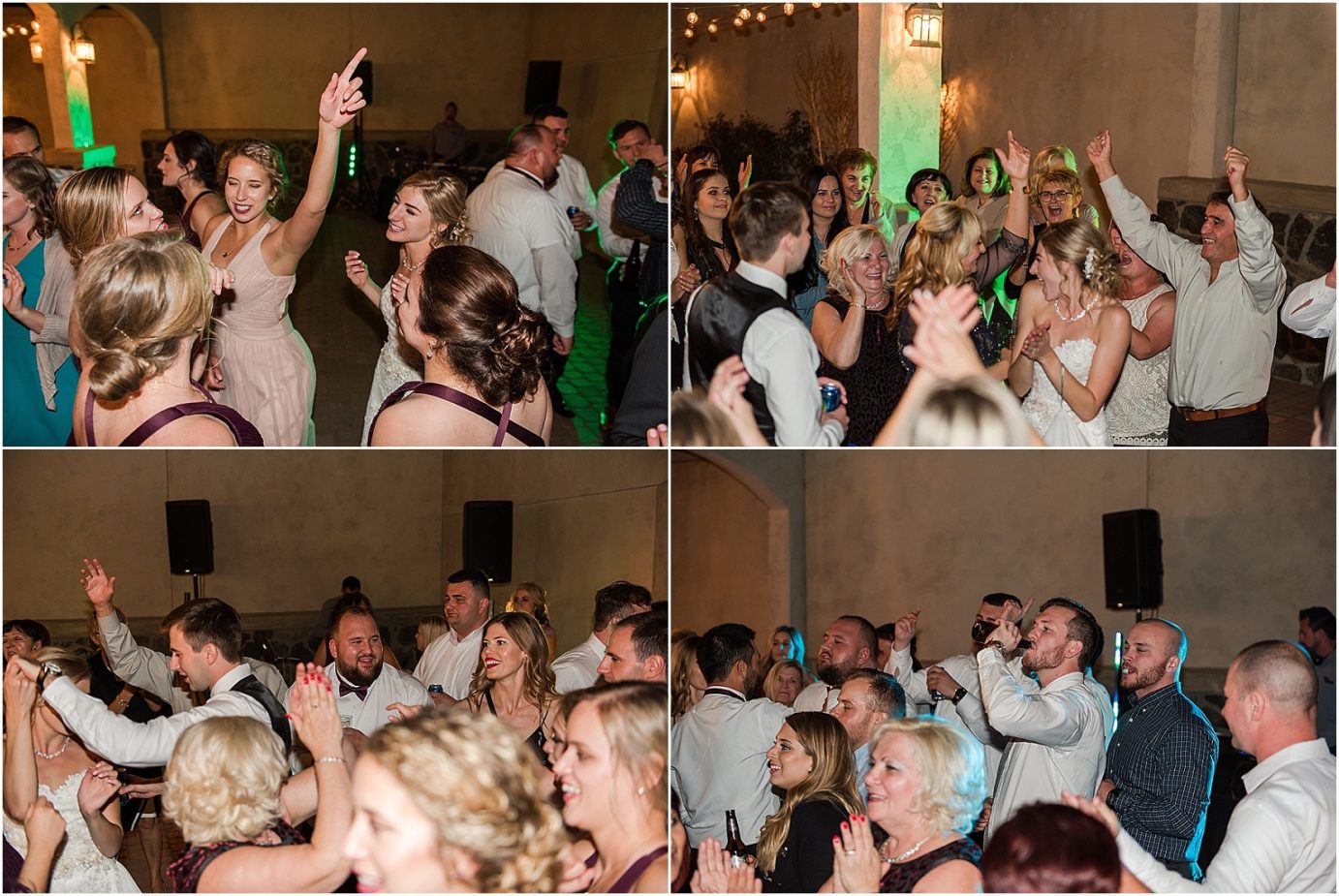 Terra Blanca Winery Wedding Benton City Photographer Armin and Kendall reception photos