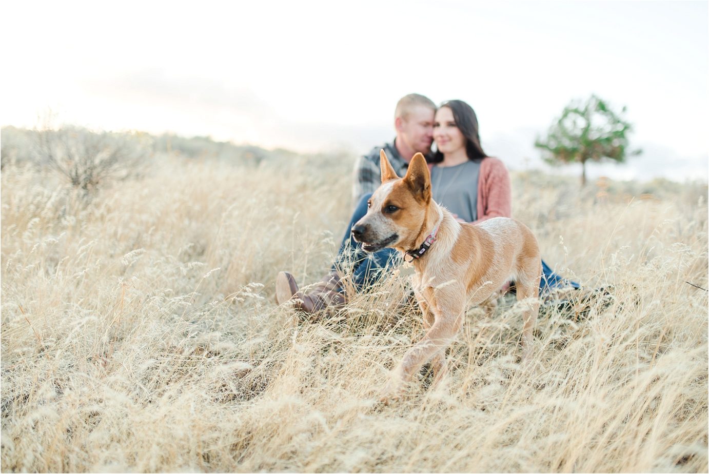 Klickitat County Engagement Session Roosevelt WA Ethan and Makaela couple snuggling in the country with red heeler