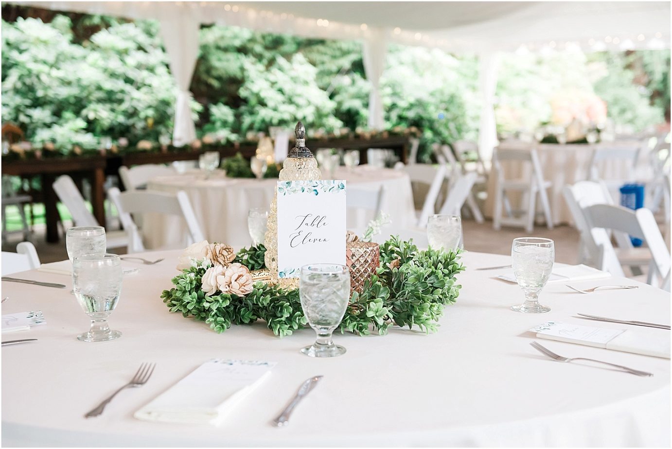 Laurel Creek Manor Wedding reception details
