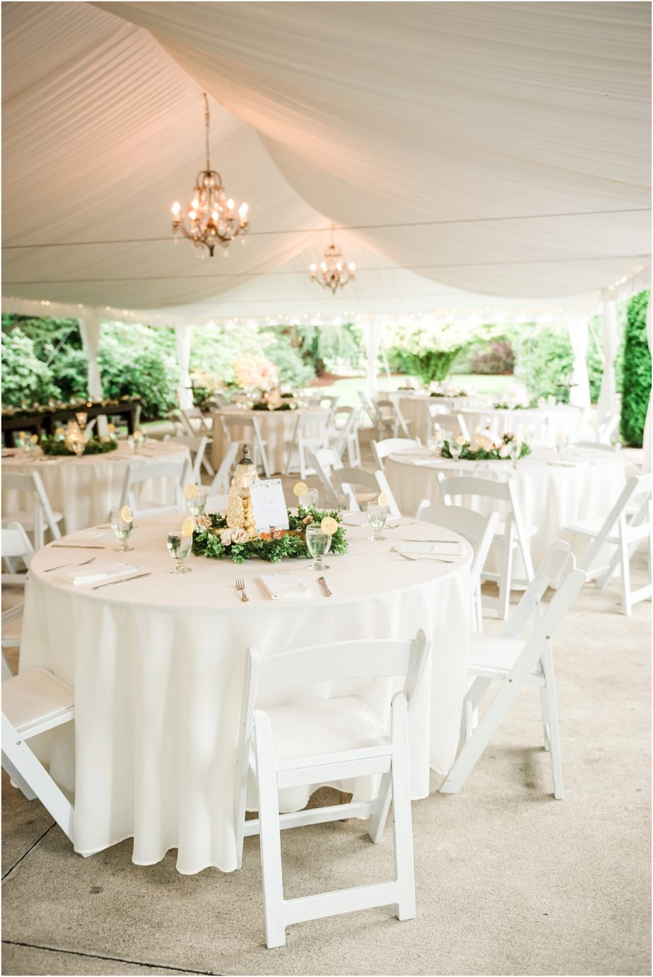 Laurel Creek Manor Wedding reception details