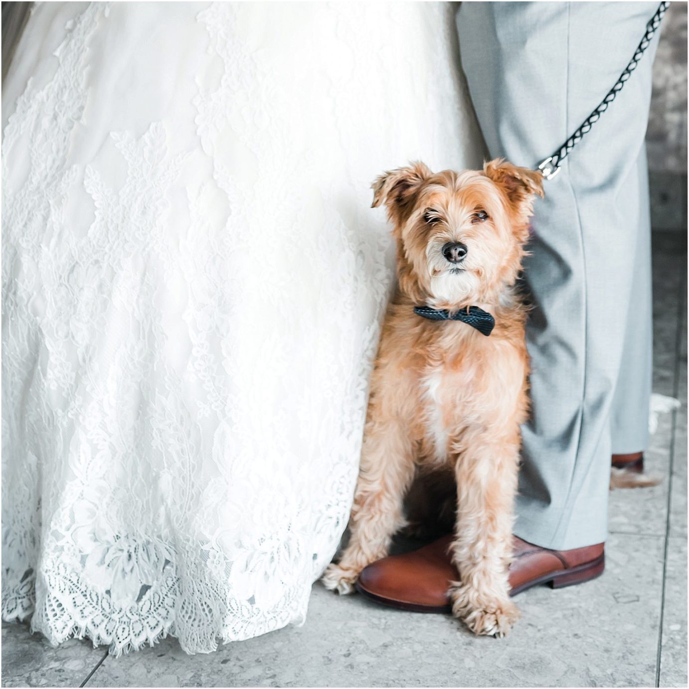 Favorite Wedding Moments of 2019 For Brides bride and groom with dog