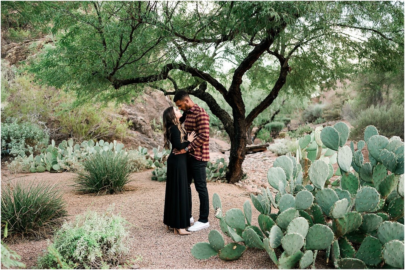 Desert engagement session tempe photographer Mansel and Rita walkway through cactus
