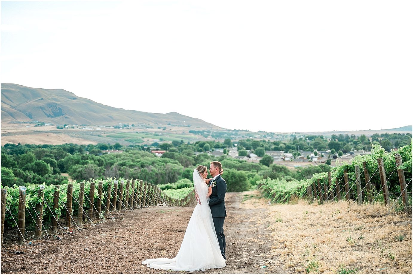 bride and groom vineyard portraits for wedding at Terra Blanca Winery