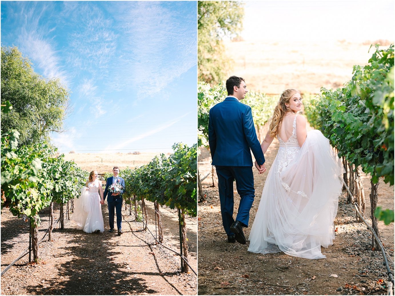 Wedding at Sugar Pine Barn - bride and groom in vineyard