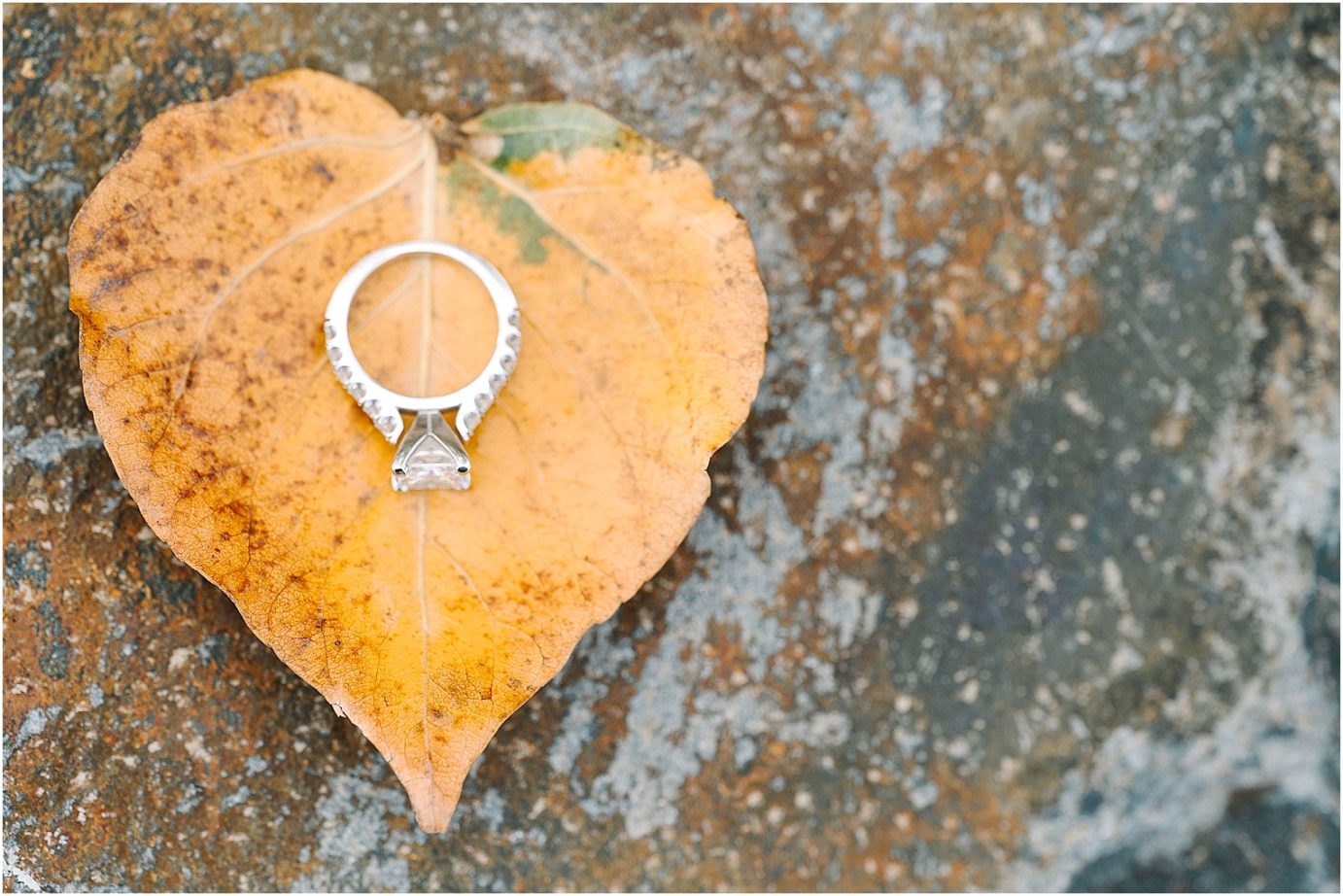 Joyful fall engagement session Cental WA Brad and Jasmine ring on a heart shaped leaf