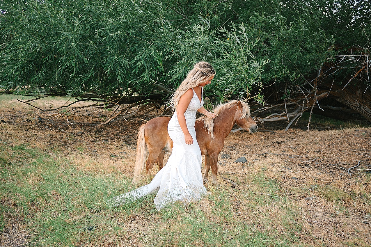 McIntosh Ranch Wedding Ellensburg WA Blake and Korteney bride and groom with pony in a field