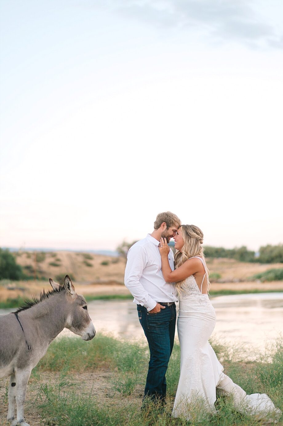 McIntosh Ranch Wedding Ellensburg WA Blake and Korteney bride and groom in a field with a donkey